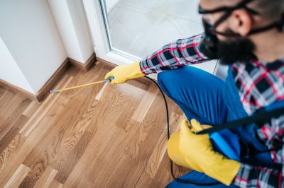 Cricket Control Service