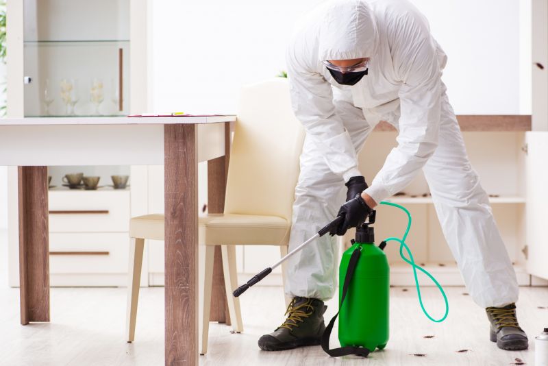 Extermination Service