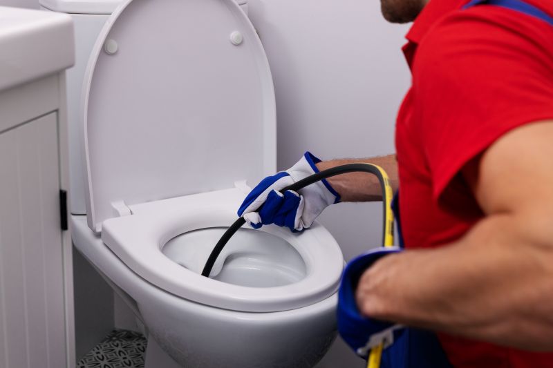 Toilet Plunging