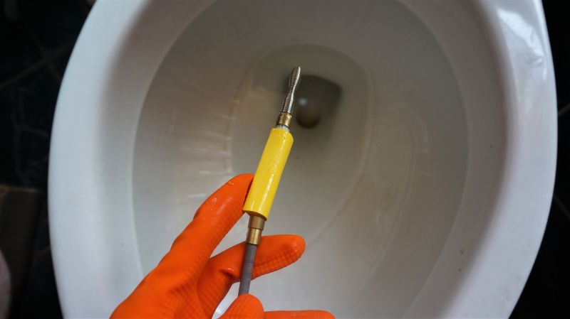 Toilet Snaking
